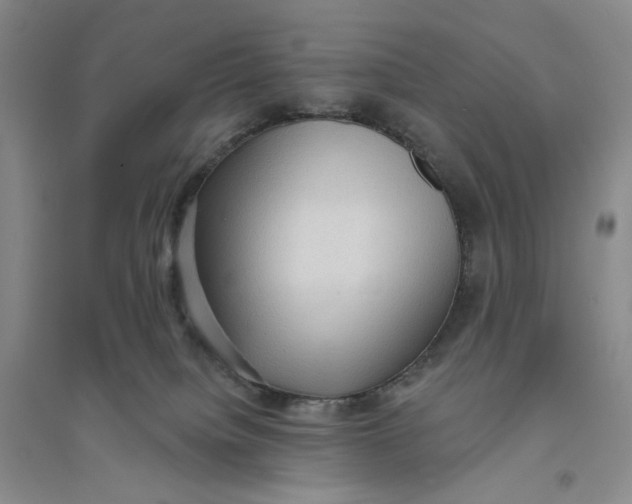 X0000094070084200711091202