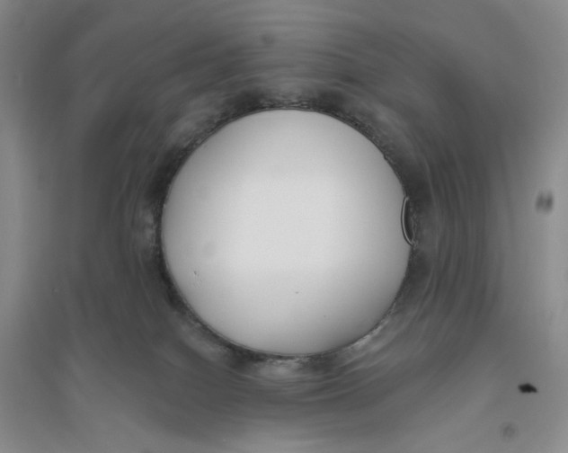 X0000094070086200711091202