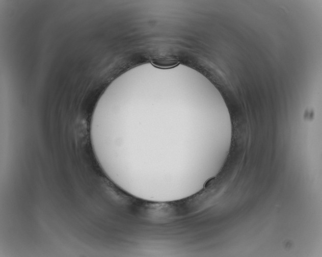 X0000094070087200711091202