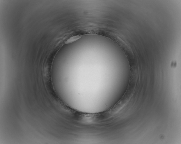 X0000094070088200711091202