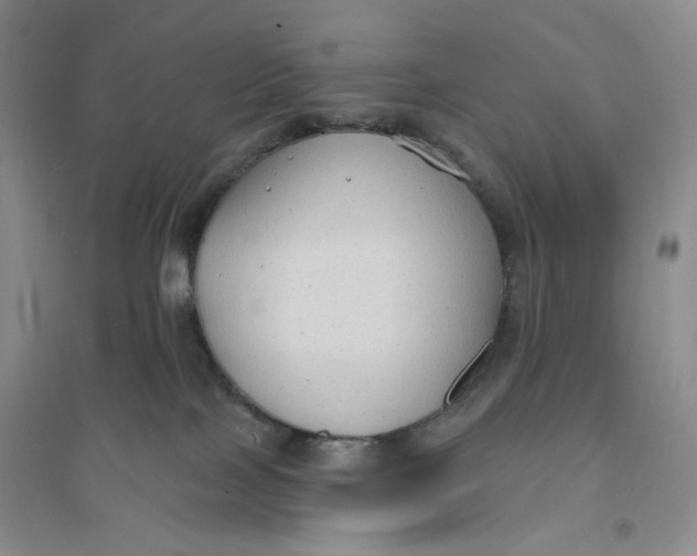 X0000094070089200711091202