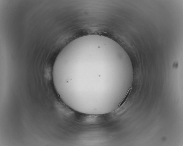 X0000094070090200711091202