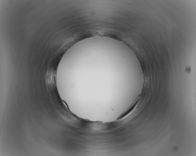 X0000094070094200711091202