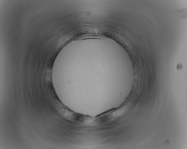 X0000094070096200711091202