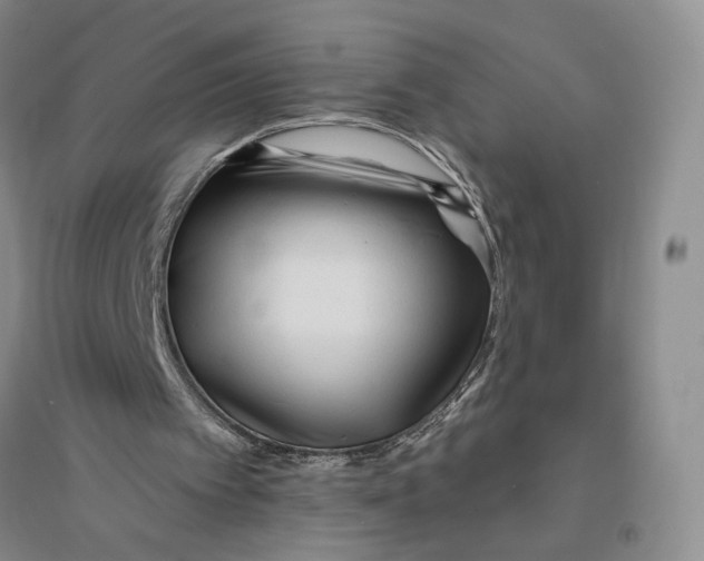 X0000094070097200711091201
