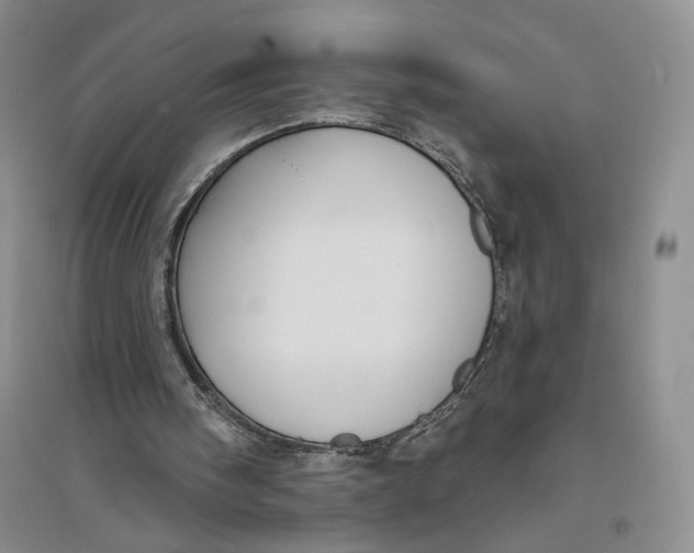 X0000094070098200711091201