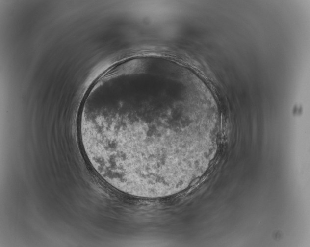 X0000094070099200711091201