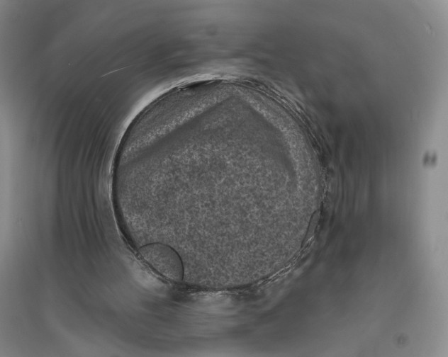 X0000094070100200711091201