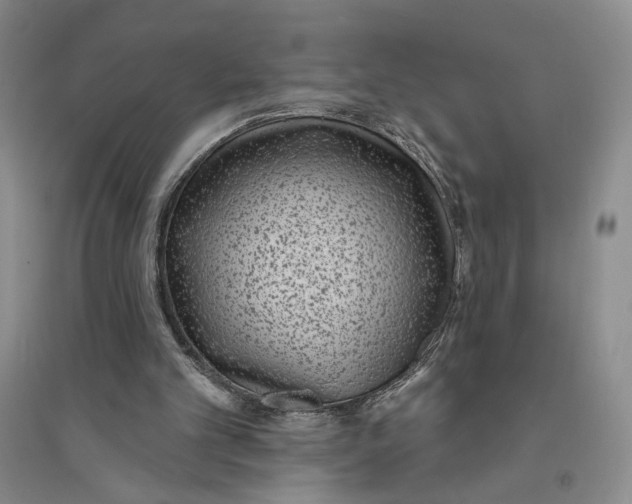 X0000094070101200711091201
