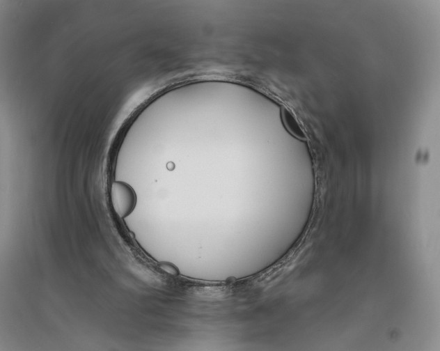X0000094070102200711091201