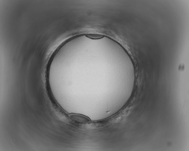 X0000094070103200711091201
