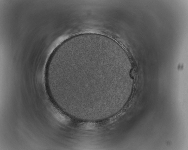 X0000094070104200711091201