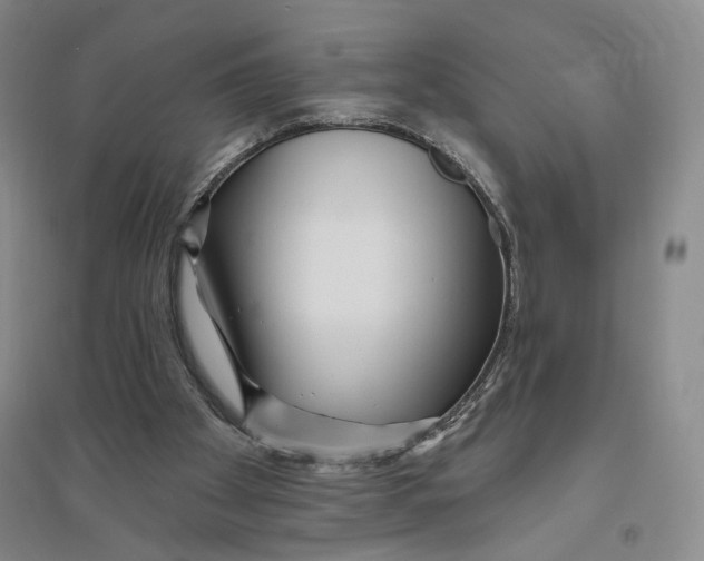 X0000094070105200711091201