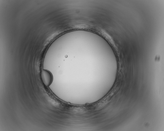 X0000094070106200711091201