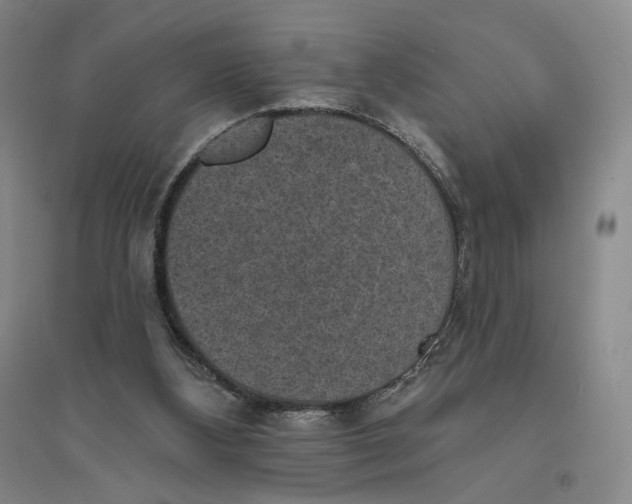 X0000094070108200711091201
