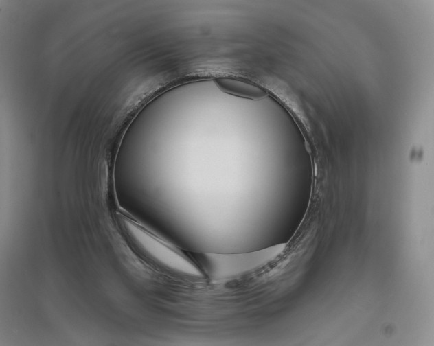 X0000094070109200711091201