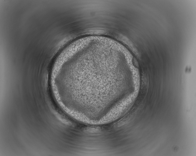 X0000094070110200711091201