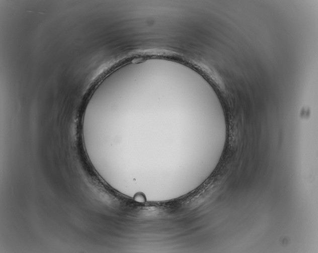 X0000094070111200711091201