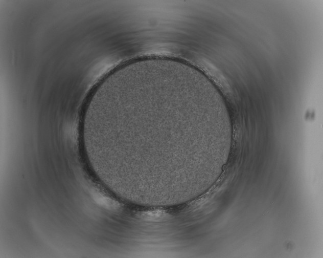 X0000094070112200711091201
