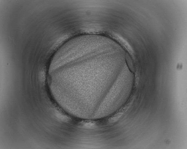 X0000094070113200711091201