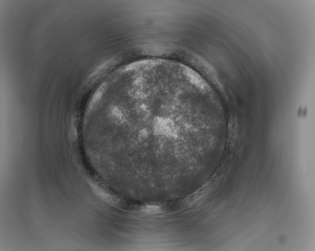 X0000094070114200711091201