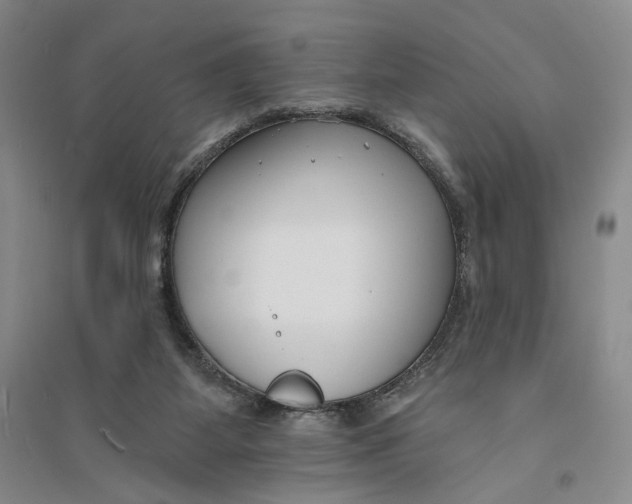 X0000094070115200711091201