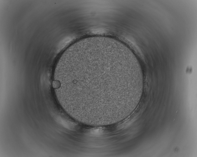 X0000094070116200711091201