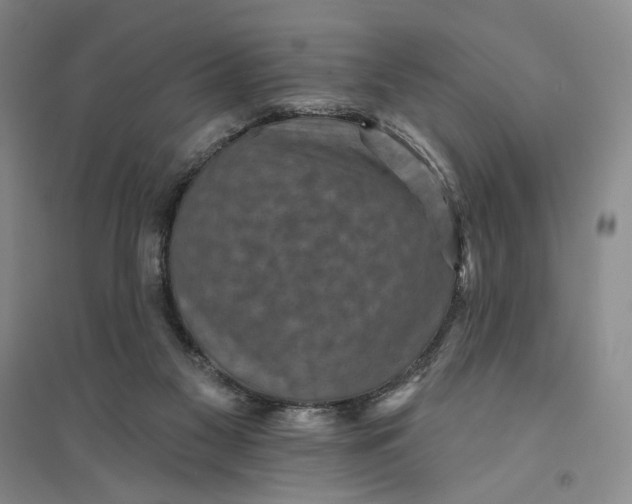 X0000094070117200711091201