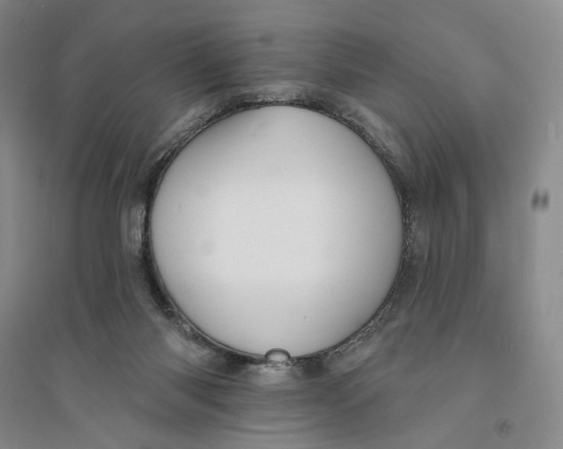 X0000094070118200711091201