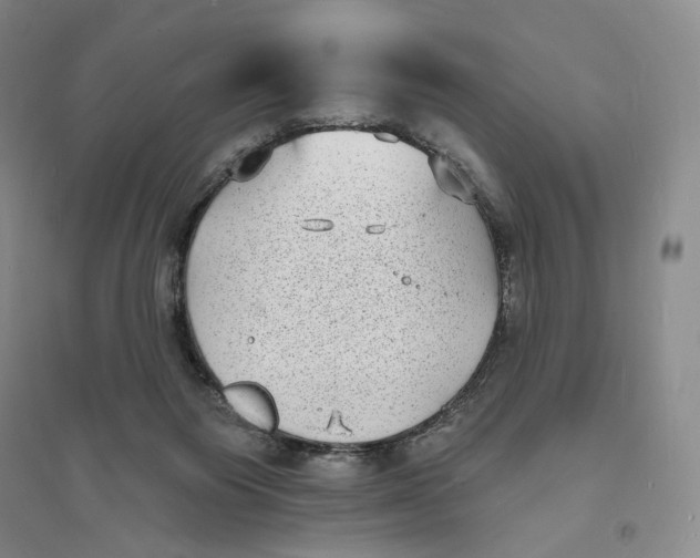 X0000094070119200711091201