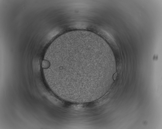 X0000094070120200711091201