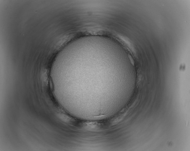X0000094070121200711091201