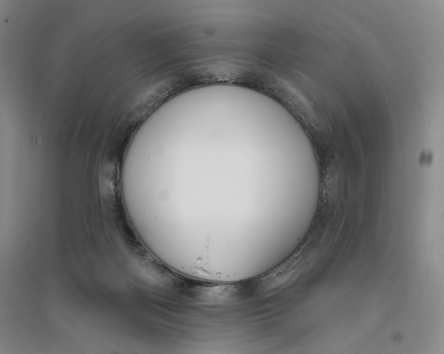 X0000094070122200711091201