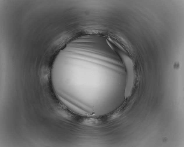 X0000094070125200711091201