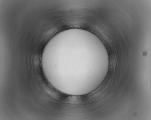X0000094070126200711091201