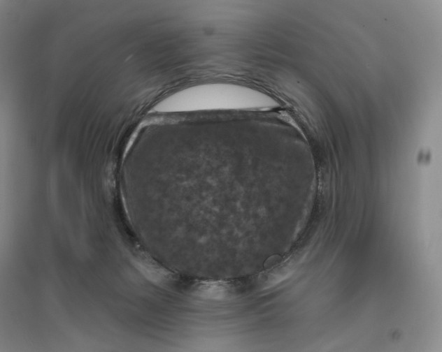 X0000094070127200711091201