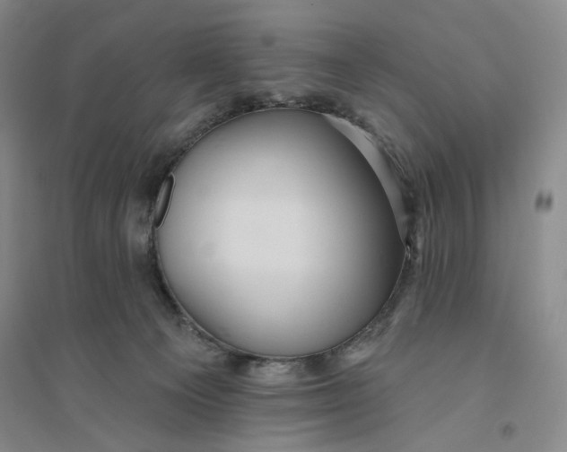 X0000094070129200711091201