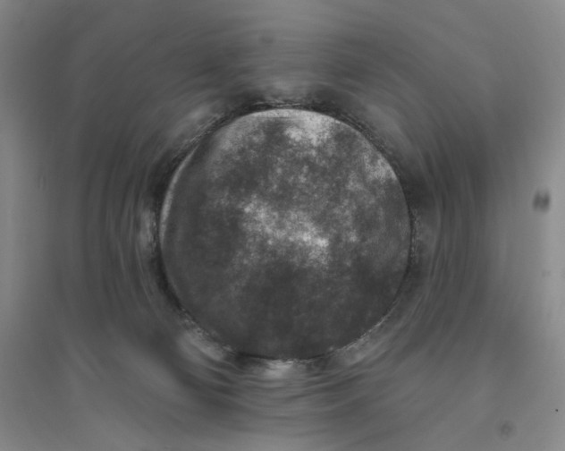 X0000094070130200711091201