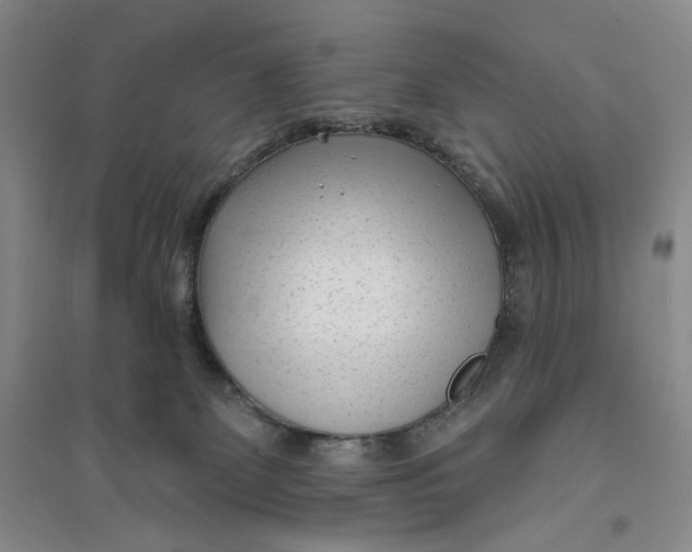 X0000094070131200711091201