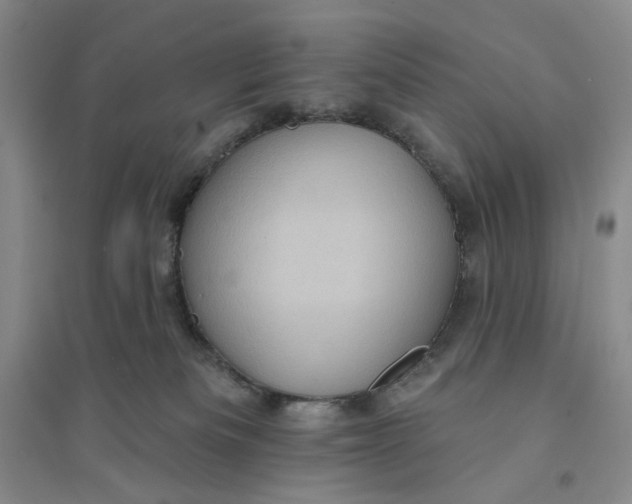 X0000094070133200711091201