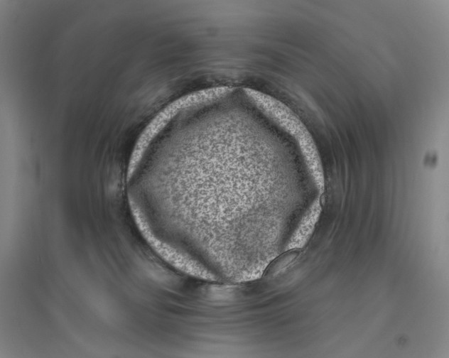 X0000094070134200711091201
