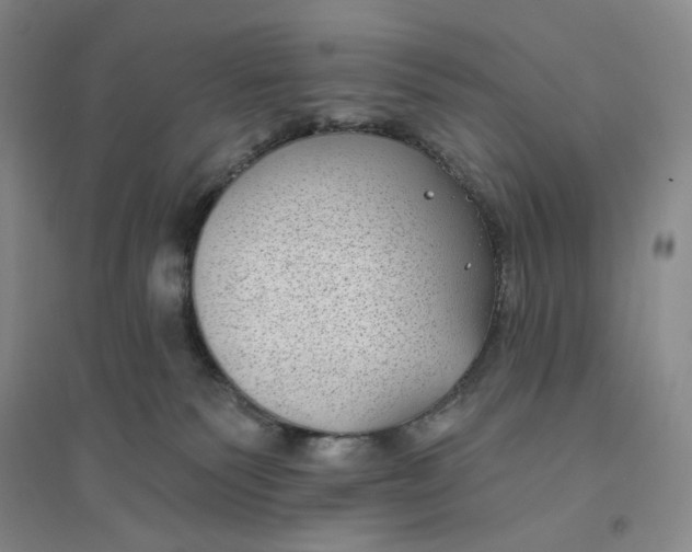 X0000094070135200711091201