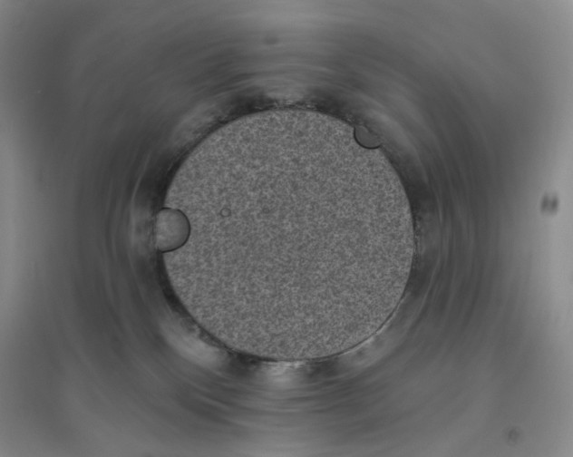 X0000094070136200711091201