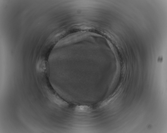 X0000094070137200711091201
