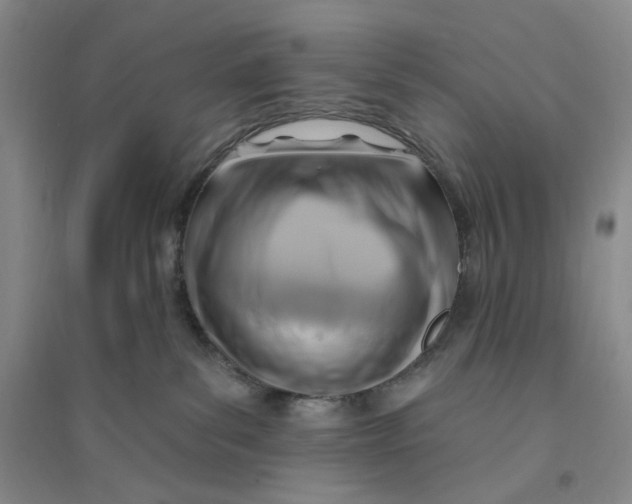X0000094070139200711091201