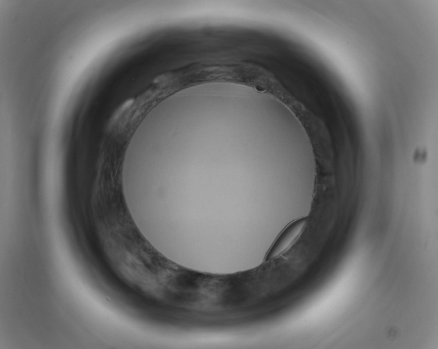 X0000094070143200711091201