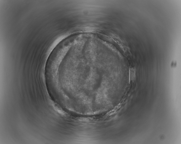 X0000094070147200711091200