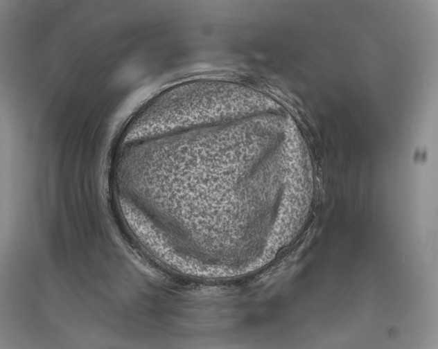 X0000094070149200711091200
