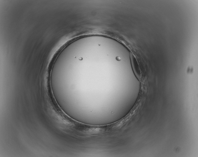 X0000094070152200711091200