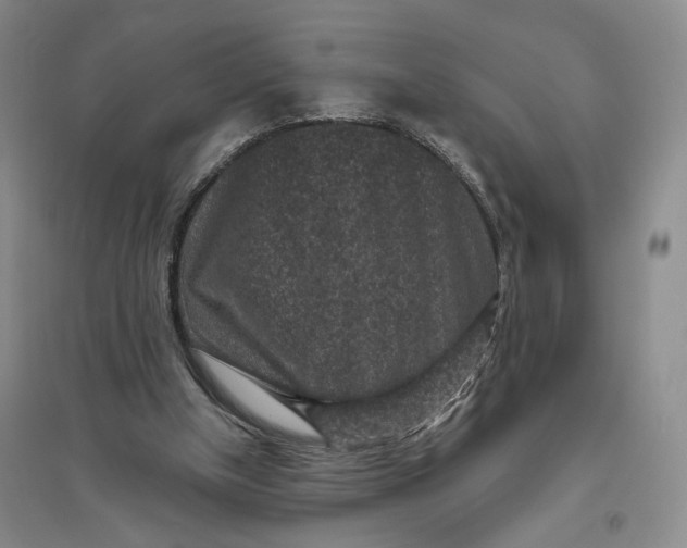 X0000094070154200711091200